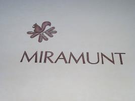 Miramunt Hotel Flims Esterno foto
